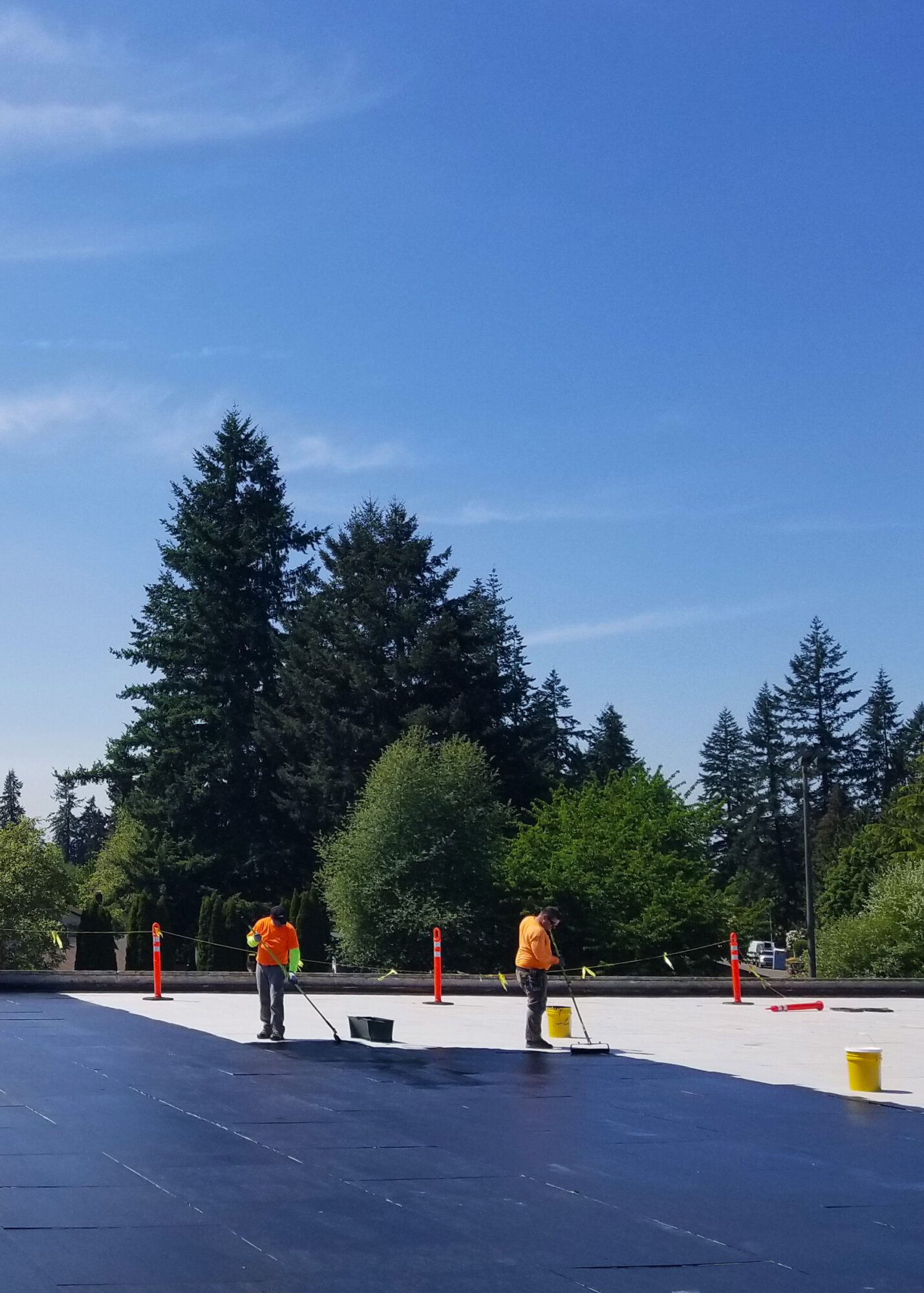 TruGround Application